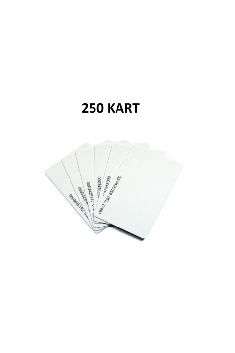 250 Adet 125 Khz Proximity Kart Göster Geç Akıllı Manyetik Kart